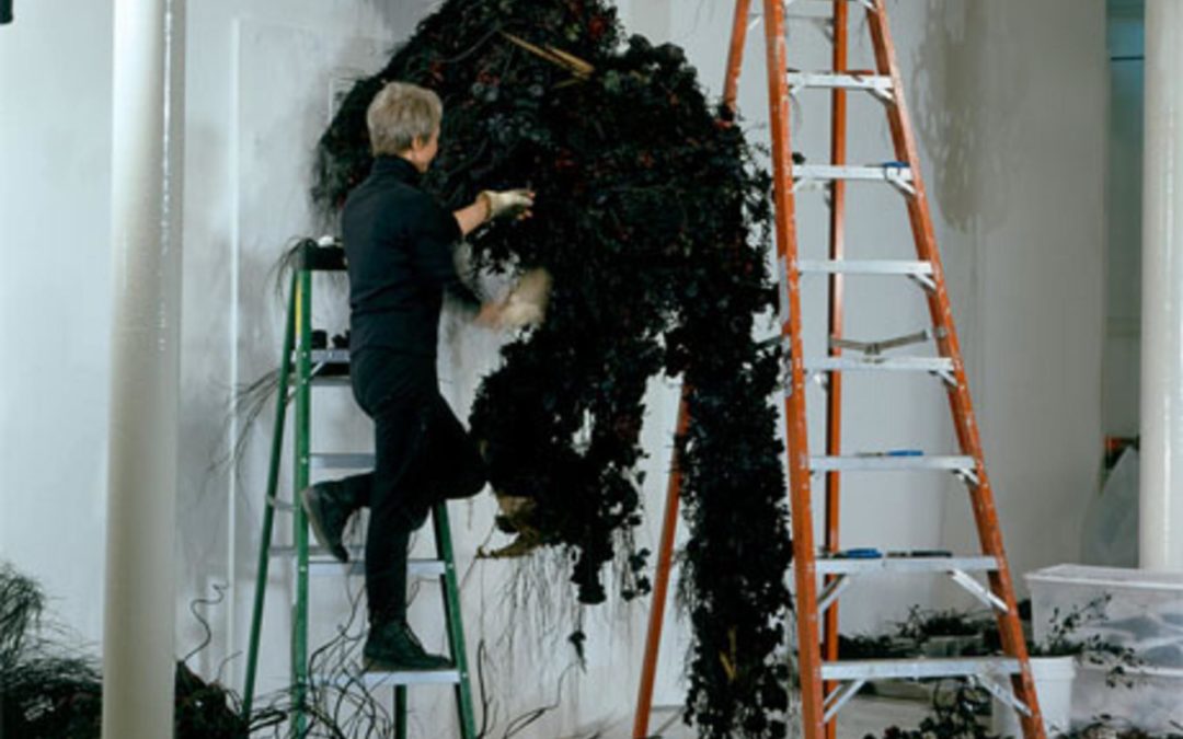 Petah Coyne