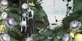 Martha Rosler: Irrespective