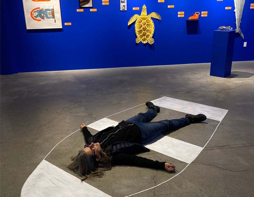Solo Exhibition by Nina Katchadourian