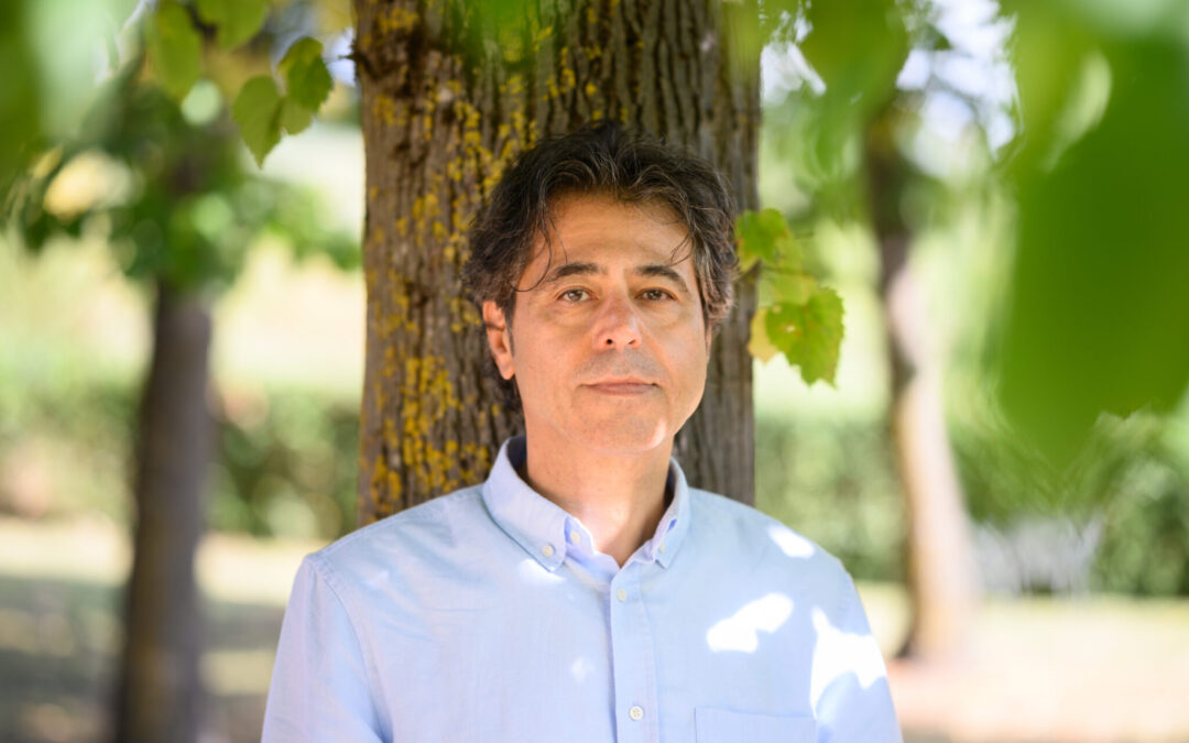 Hassan Taha